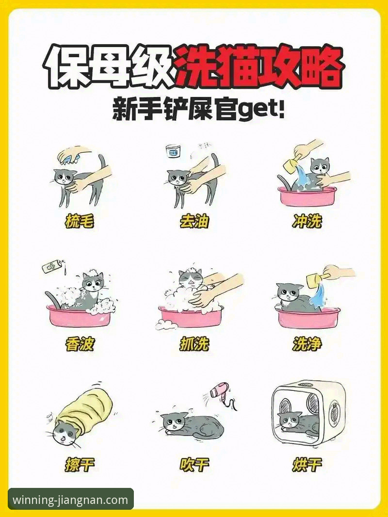 新手必看：资深用户分享江南体育平台信誉评测与实用注册指南
