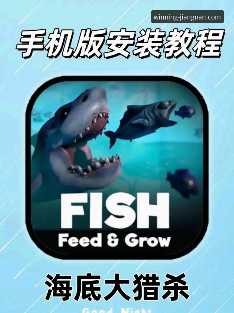 江南体育电脑版功能详解：从安装到上手的完整操作教程